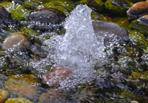 m6tails6caut4vmeuuh2